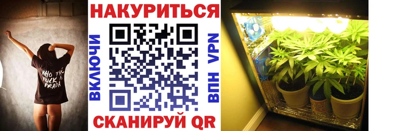 Канабис планчик  Бирюсинск 